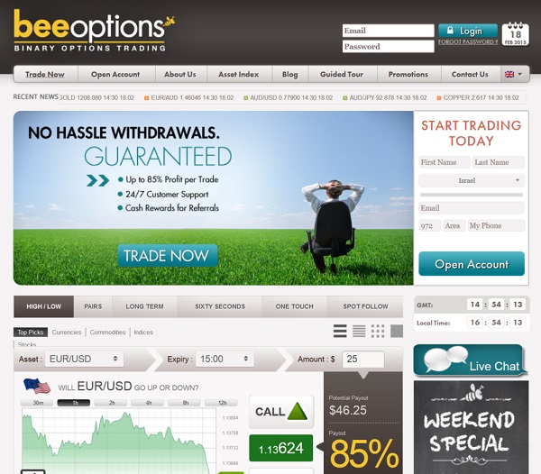 beeoptions website